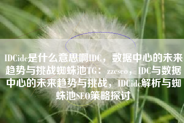 IDCidc是什么意思啊IDC，数据中心的未来趋势与挑战蜘蛛池TG：zzcseo，IDC与数据中心的未来趋势与挑战，IDCidc解析与蜘蛛池SEO策略探讨