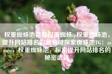 权重蜘蛛池百度权重蜘蛛ip权重蜘蛛池，提升网站排名的新领域探索蜘蛛池TG：zzcseo，权重蜘蛛池，探索提升网站排名的秘密武器
