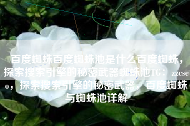 百度蜘蛛百度蜘蛛池是什么百度蜘蛛，探索搜索引擎的秘密武器蜘蛛池TG：zzcseo，探索搜索引擎的秘密武器，百度蜘蛛与蜘蛛池详解