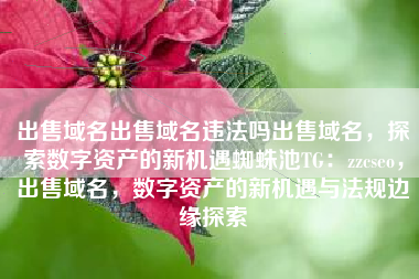 出售域名出售域名违法吗出售域名，探索数字资产的新机遇蜘蛛池TG：zzcseo，出售域名，数字资产的新机遇与法规边缘探索