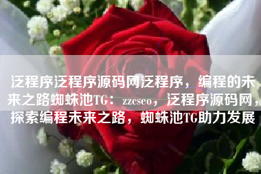 泛程序泛程序源码网泛程序，编程的未来之路蜘蛛池TG：zzcseo，泛程序源码网，探索编程未来之路，蜘蛛池TG助力发展