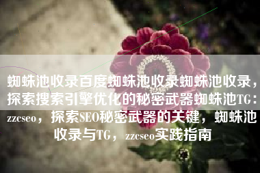 蜘蛛池收录百度蜘蛛池收录蜘蛛池收录，探索搜索引擎优化的秘密武器蜘蛛池TG：zzcseo，探索SEO秘密武器的关键，蜘蛛池收录与TG，zzcseo实践指南