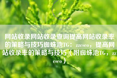 网站收录网站收录查询提高网站收录率的策略与技巧蜘蛛池TG：zzcseo，提高网站收录率的策略与技巧（附蜘蛛池TG，zzcseo）