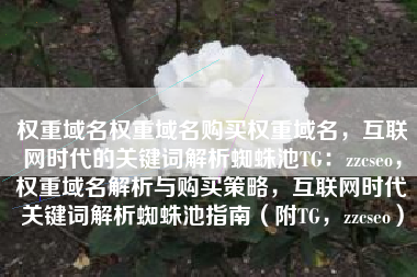 权重域名权重域名购买权重域名，互联网时代的关键词解析蜘蛛池TG：zzcseo，权重域名解析与购买策略，互联网时代关键词解析蜘蛛池指南（附TG，zzcseo）