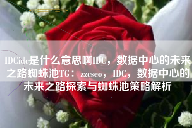 IDCidc是什么意思啊IDC，数据中心的未来之路蜘蛛池TG：zzcseo，IDC，数据中心的未来之路探索与蜘蛛池策略解析