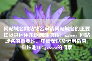 网站域名网站域名申请网站域名的重要性及其运用策略蜘蛛池TG：zzcseo，网站域名的重要性、申请策略及运用指南，蜘蛛池TG与zzcseo的洞察