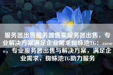 服务器出售服务器售卖服务器出售，专业解决方案满足企业需求蜘蛛池TG：zzcseo，专业服务器出售与解决方案，满足企业需求，蜘蛛池TG助力服务