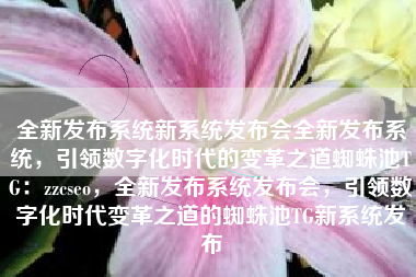 全新发布系统新系统发布会全新发布系统，引领数字化时代的变革之道蜘蛛池TG：zzcseo，全新发布系统发布会，引领数字化时代变革之道的蜘蛛池TG新系统发布