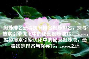 蜘蛛排名最毒蜘蛛排名蜘蛛排名，探寻搜索引擎优化中的秘密蜘蛛池TG：zzcseo，揭秘搜索引擎优化中的秘密蜘蛛池，最毒蜘蛛排名与探寻TG，zzcseo之道
