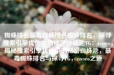 蜘蛛排名最毒蜘蛛排名蜘蛛排名，探寻搜索引擎优化中的秘密蜘蛛池TG：zzcseo，揭秘搜索引擎优化中的秘密蜘蛛池，最毒蜘蛛排名与探寻TG，zzcseo之道