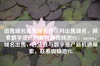 出售域名出售域名违法吗出售域名，探索数字资产的新机遇蜘蛛池TG：zzcseo，域名出售，合法性与数字资产新机遇探索，联系蜘蛛池TG