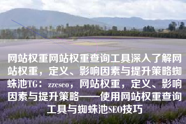 网站权重网站权重查询工具深入了解网站权重，定义、影响因素与提升策略蜘蛛池TG：zzcseo，网站权重，定义、影响因素与提升策略——使用网站权重查询工具与蜘蛛池SEO技巧