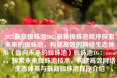 2025最新蜘蛛池2025最新蜘蛛池程序探索未来的蜘蛛池，构建高效的网络生态体系（面向未来的蜘蛛池）蜘蛛池TG：zzcseo，探索未来蜘蛛池技术，构建高效网络生态体系与最新蜘蛛池程序介绍