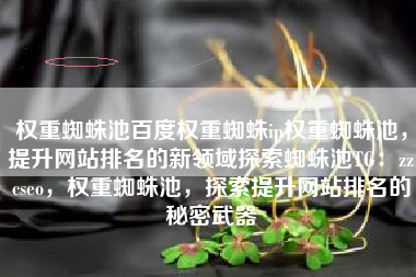 权重蜘蛛池百度权重蜘蛛ip权重蜘蛛池，提升网站排名的新领域探索蜘蛛池TG：zzcseo，权重蜘蛛池，探索提升网站排名的秘密武器