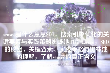 seoseo是什么意思SEO，搜索引擎优化的关键要素与实践策略蜘蛛池TG：zzcseo，SEO的秘密，关键要素、实践策略与蜘蛛池的理解，了解seoseo的真正含义