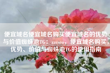 便宜域名便宜域名购买便宜域名的优势与价值蜘蛛池TG：zzcseo，便宜域名购买，优势、价值与蜘蛛池TG的使用指南