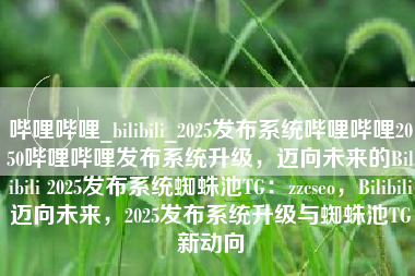 哔哩哔哩_bilibili_2025发布系统哔哩哔哩2050哔哩哔哩发布系统升级，迈向未来的Bilibili 2025发布系统蜘蛛池TG：zzcseo，Bilibili迈向未来，2025发布系统升级与蜘蛛池TG新动向
