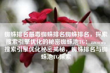 蜘蛛排名最毒蜘蛛排名蜘蛛排名，探索搜索引擎优化的秘密蜘蛛池TG：zzcseo，搜索引擎优化秘密揭秘，蜘蛛排名与蜘蛛池TG探索
