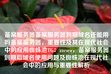 备案服务器备案服务器到期域名还能用吗备案服务器，重要性及其在现代社会中的应用蜘蛛池TG：zzcseo，备案服务器到期后域名使用问题及蜘蛛池在现代社会中的应用与重要性解析