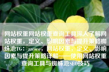 网站权重网站权重查询工具深入了解网站权重，定义、影响因素与提升策略蜘蛛池TG：zzcseo，网站权重，定义、影响因素与提升策略详解——使用网站权重查询工具与蜘蛛池SEO技巧