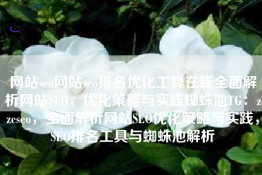 网站seo网站seo排名优化工具在线全面解析网站SEO，优化策略与实践蜘蛛池TG：zzcseo，全面解析网站SEO优化策略与实践，SEO排名工具与蜘蛛池解析