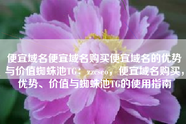 便宜域名便宜域名购买便宜域名的优势与价值蜘蛛池TG：zzcseo，便宜域名购买，优势、价值与蜘蛛池TG的使用指南