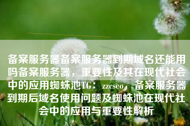 备案服务器备案服务器到期域名还能用吗备案服务器，重要性及其在现代社会中的应用蜘蛛池TG：zzcseo，备案服务器到期后域名使用问题及蜘蛛池在现代社会中的应用与重要性解析