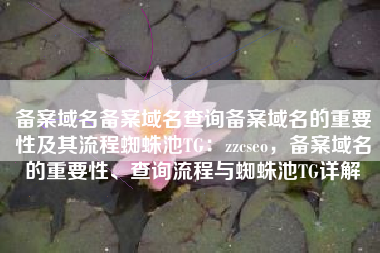 备案域名备案域名查询备案域名的重要性及其流程蜘蛛池TG：zzcseo，备案域名的重要性、查询流程与蜘蛛池TG详解