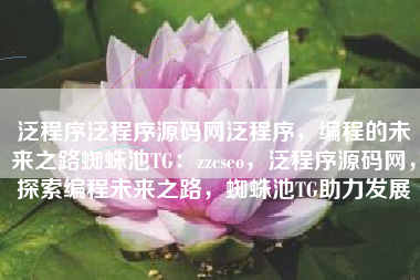 泛程序泛程序源码网泛程序，编程的未来之路蜘蛛池TG：zzcseo，泛程序源码网，探索编程未来之路，蜘蛛池TG助力发展