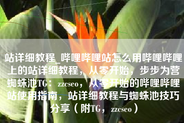 站详细教程_哔哩哔哩站怎么用哔哩哔哩上的站详细教程，从零开始，步步为营蜘蛛池TG：zzcseo，从零开始的哔哩哔哩站使用指南，站详细教程与蜘蛛池技巧分享（附TG，zzcseo）