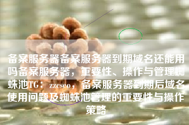 备案服务器备案服务器到期域名还能用吗备案服务器，重要性、操作与管理蜘蛛池TG：zzcseo，备案服务器到期后域名使用问题及蜘蛛池管理的重要性与操作策略