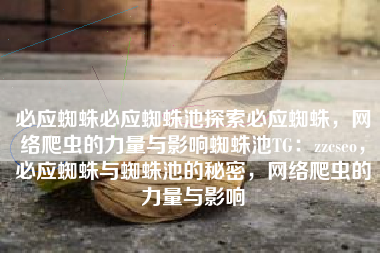 必应蜘蛛必应蜘蛛池探索必应蜘蛛，网络爬虫的力量与影响蜘蛛池TG：zzcseo，必应蜘蛛与蜘蛛池的秘密，网络爬虫的力量与影响