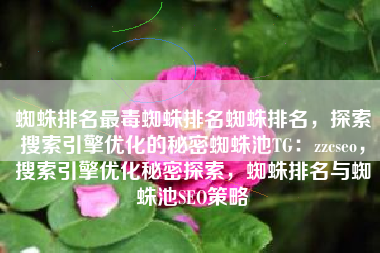 蜘蛛排名最毒蜘蛛排名蜘蛛排名，探索搜索引擎优化的秘密蜘蛛池TG：zzcseo，搜索引擎优化秘密探索，蜘蛛排名与蜘蛛池SEO策略
