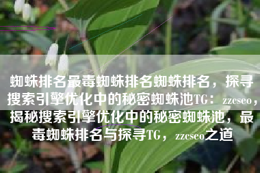 蜘蛛排名最毒蜘蛛排名蜘蛛排名，探寻搜索引擎优化中的秘密蜘蛛池TG：zzcseo，揭秘搜索引擎优化中的秘密蜘蛛池，最毒蜘蛛排名与探寻TG，zzcseo之道