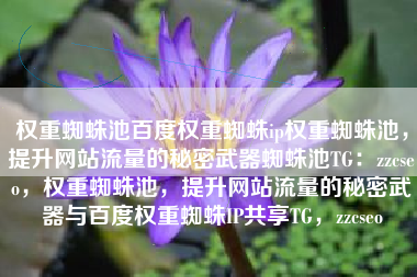 权重蜘蛛池百度权重蜘蛛ip权重蜘蛛池，提升网站流量的秘密武器蜘蛛池TG：zzcseo，权重蜘蛛池，提升网站流量的秘密武器与百度权重蜘蛛IP共享TG，zzcseo