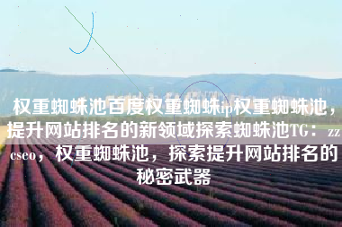 权重蜘蛛池百度权重蜘蛛ip权重蜘蛛池，提升网站排名的新领域探索蜘蛛池TG：zzcseo，权重蜘蛛池，探索提升网站排名的秘密武器