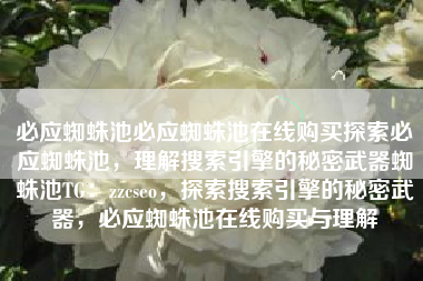 必应蜘蛛池必应蜘蛛池在线购买探索必应蜘蛛池，理解搜索引擎的秘密武器蜘蛛池TG：zzcseo，探索搜索引擎的秘密武器，必应蜘蛛池在线购买与理解