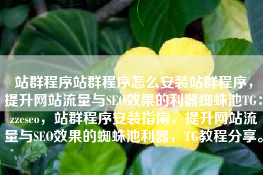 站群程序站群程序怎么安装站群程序，提升网站流量与SEO效果的利器蜘蛛池TG：zzcseo，站群程序安装指南，提升网站流量与SEO效果的蜘蛛池利器，TG教程分享。