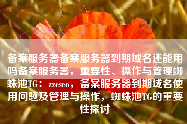 备案服务器备案服务器到期域名还能用吗备案服务器，重要性、操作与管理蜘蛛池TG：zzcseo，备案服务器到期域名使用问题及管理与操作，蜘蛛池TG的重要性探讨