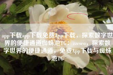 app下载app下载免费App下载，探索数字世界的便捷通道蜘蛛池TG：zzcseo，探索数字世界的便捷通道，免费App下载与蜘蛛池TG