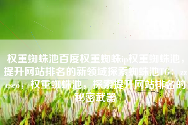 权重蜘蛛池百度权重蜘蛛ip权重蜘蛛池，提升网站排名的新领域探索蜘蛛池TG：zzcseo，权重蜘蛛池，探索提升网站排名的秘密武器