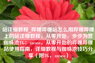 站详细教程_哔哩哔哩站怎么用哔哩哔哩上的站详细教程，从零开始，步步为营蜘蛛池TG：zzcseo，从零开始的哔哩哔哩站使用指南，详细教程与蜘蛛池技巧分享（附TG，zzcseo）
