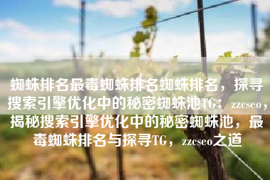 蜘蛛排名最毒蜘蛛排名蜘蛛排名，探寻搜索引擎优化中的秘密蜘蛛池TG：zzcseo，揭秘搜索引擎优化中的秘密蜘蛛池，最毒蜘蛛排名与探寻TG，zzcseo之道