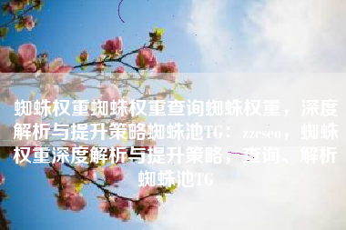 蜘蛛权重蜘蛛权重查询蜘蛛权重，深度解析与提升策略蜘蛛池TG：zzcseo，蜘蛛权重深度解析与提升策略，查询、解析蜘蛛池TG