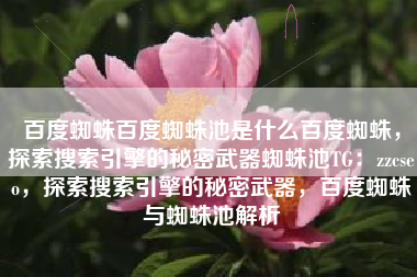 百度蜘蛛百度蜘蛛池是什么百度蜘蛛，探索搜索引擎的秘密武器蜘蛛池TG：zzcseo，探索搜索引擎的秘密武器，百度蜘蛛与蜘蛛池解析