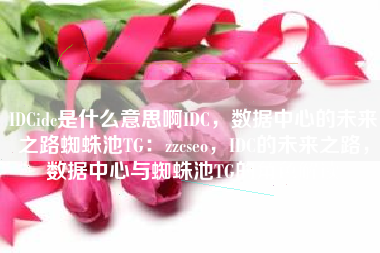 IDCidc是什么意思啊IDC，数据中心的未来之路蜘蛛池TG：zzcseo，IDC的未来之路，数据中心与蜘蛛池TG的角色解读