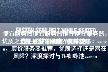 便宜服务器便宜服务器推荐便宜服务器，优质之选还是潜在风险？蜘蛛池TG：zzcseo，廉价服务器推荐，优质选择还是潜在风险？深度探讨与TG蜘蛛池zzcseo