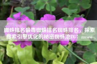 蜘蛛排名最毒蜘蛛排名蜘蛛排名，探索搜索引擎优化的秘密蜘蛛池TG：zzcseo