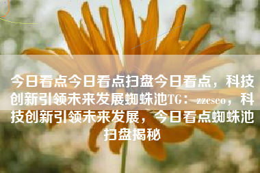 今日看点今日看点扫盘今日看点，科技创新引领未来发展蜘蛛池TG：zzcseo，科技创新引领未来发展，今日看点蜘蛛池扫盘揭秘