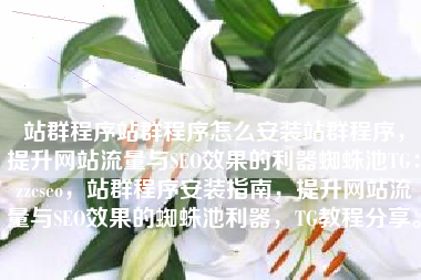 站群程序站群程序怎么安装站群程序，提升网站流量与SEO效果的利器蜘蛛池TG：zzcseo，站群程序安装指南，提升网站流量与SEO效果的蜘蛛池利器，TG教程分享。